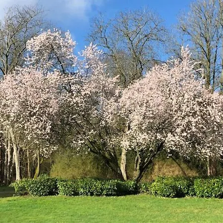 Domaine De Macque